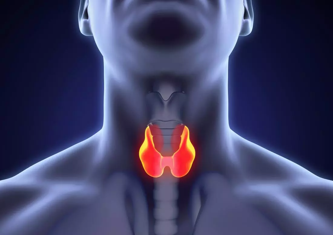 Thyroid Disease Diagnosis & Treatment: How is Done?