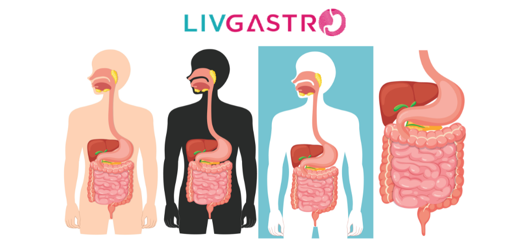 What Your Gastroenterologist Wishes You Knew About Digestive Health?