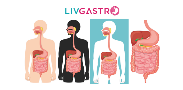 Healthy digestive system illustration with digestive organs, nutritious foods, and wellness concepts